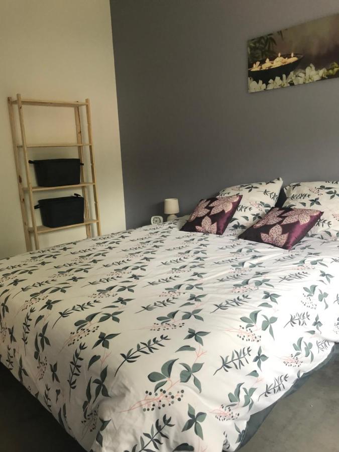 Appartement A Tarascon Sur Ariege Le Sabart Kültér fotó